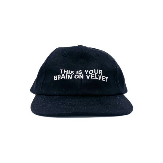 YOU BRAIN ON VELVET 6 PANEL