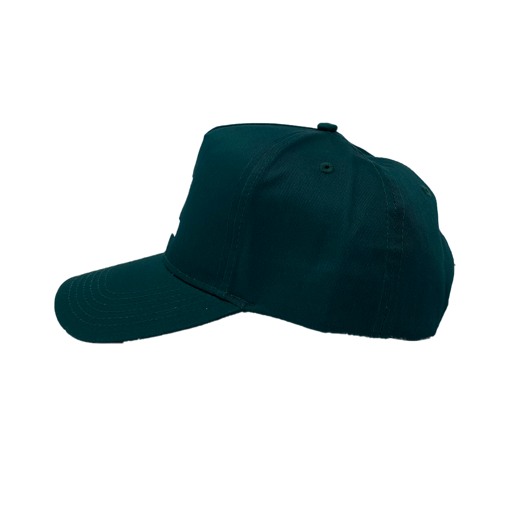 GREEN V. 5-PANEL